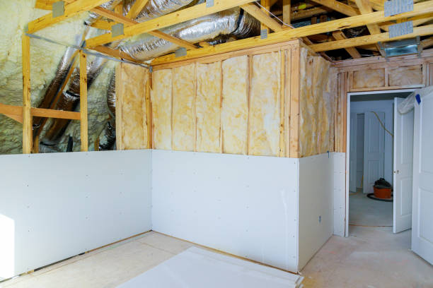 Best Spray Foam Insulation in Tea, SD