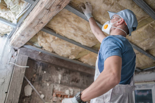 Best Energy Efficiency Insulation in Tea, SD