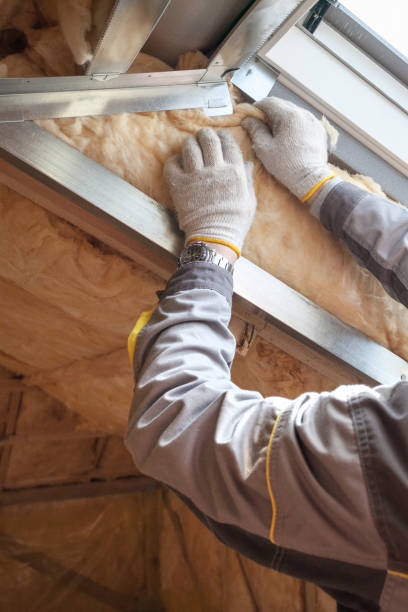 Best Insulation Maintenance and Repair in Tea, SD