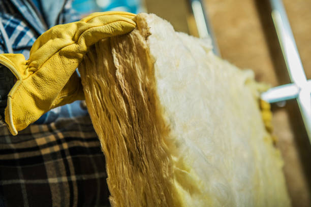 Best Cellulose Insulation in Tea, SD